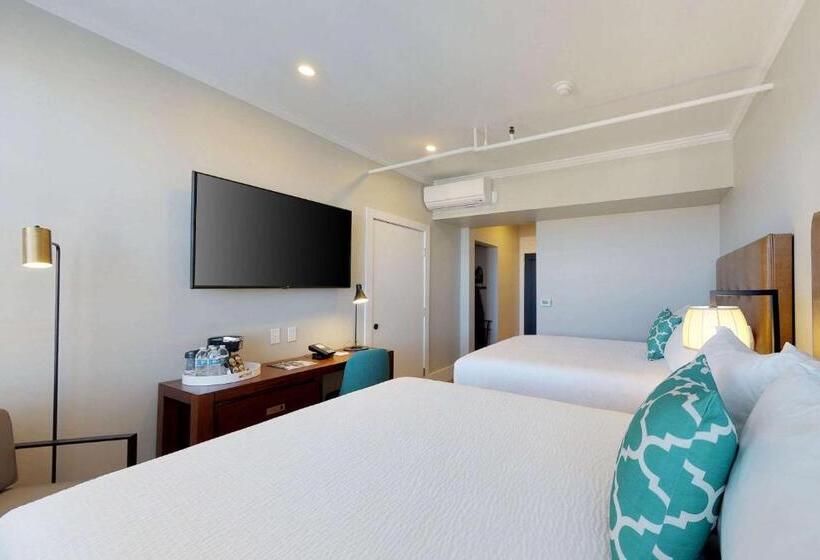 标准间, Petaluma, Tapestry Collection By Hilton