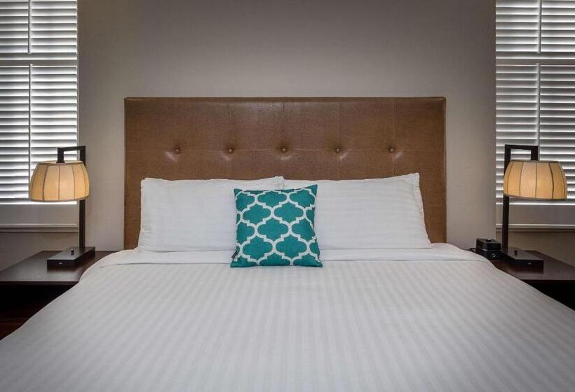 适合残疾人士使用的带超级大床的标准间, Petaluma, Tapestry Collection By Hilton