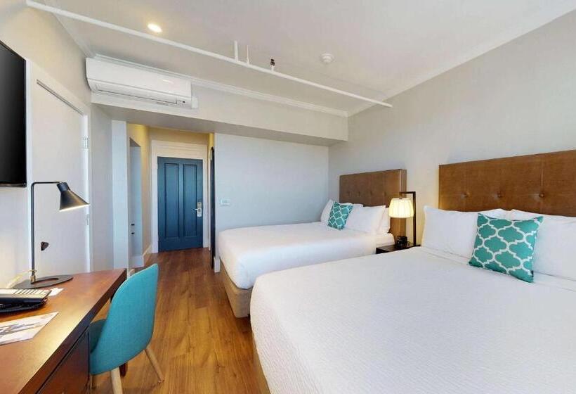 标准间, Petaluma, Tapestry Collection By Hilton