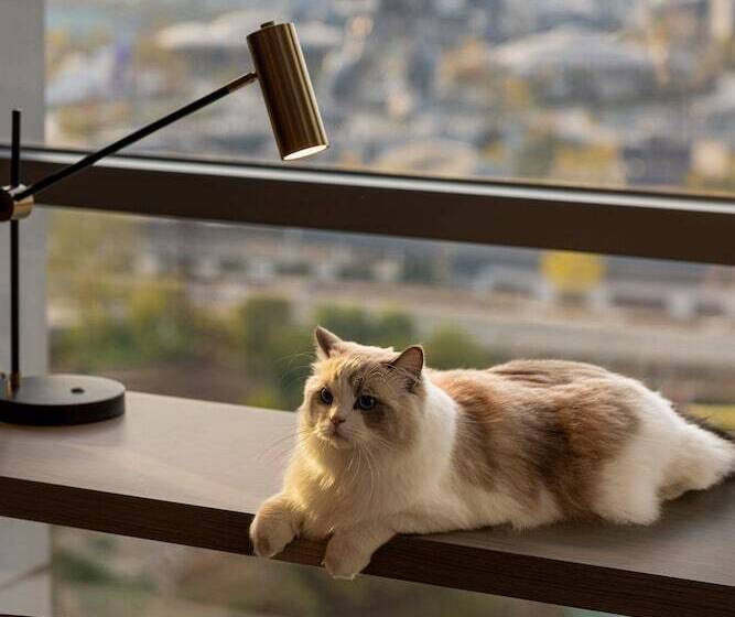 디럭스 룸, Home2 Suites By Hilton Guiyang Airport