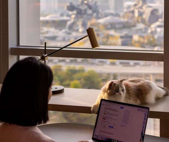 디럭스 룸, Home2 Suites By Hilton Guiyang Airport