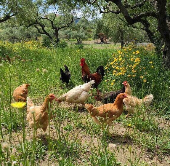 침실 1개 주택, Lithies Organic Farm