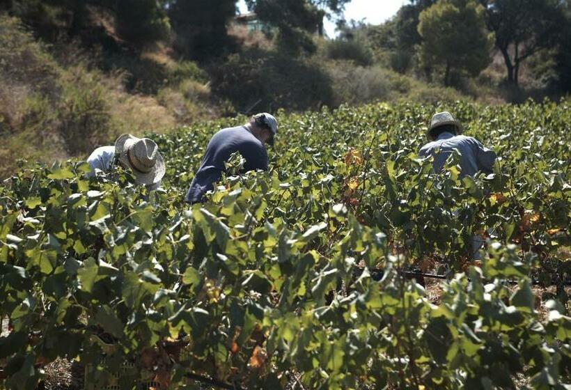 خانه 1 خوابه, Lithies Organic Farm