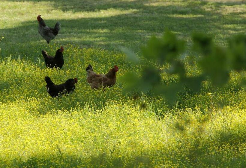 침실 1개 주택, Lithies Organic Farm