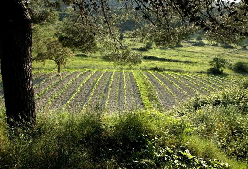 침실 1개 주택, Lithies Organic Farm