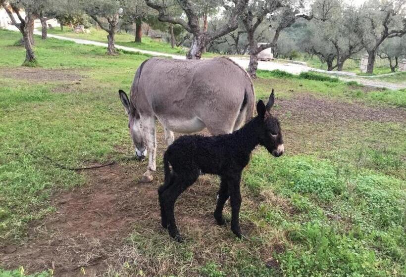 침실 1개 주택, Lithies Organic Farm