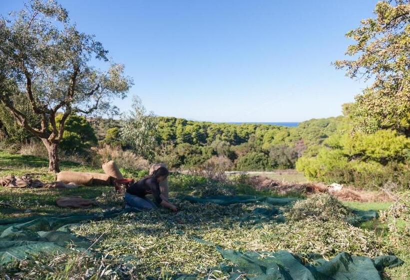 침실 2개 빌라, Lithies Organic Farm