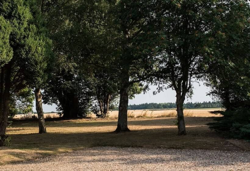 １ベッドルームのデラックスアパートメント, The Foxes Den