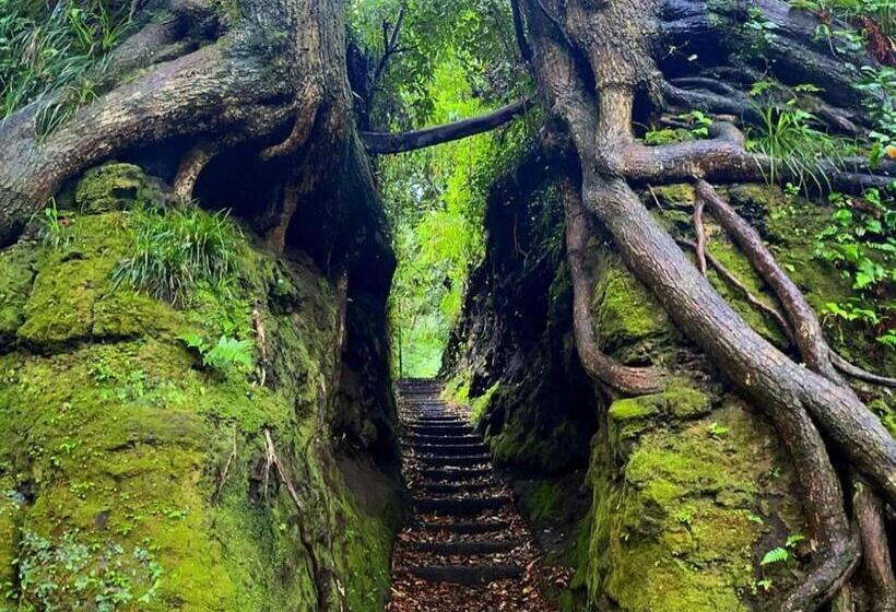 إستوديو قياسى, Yuraku Izuoshima  Hostel