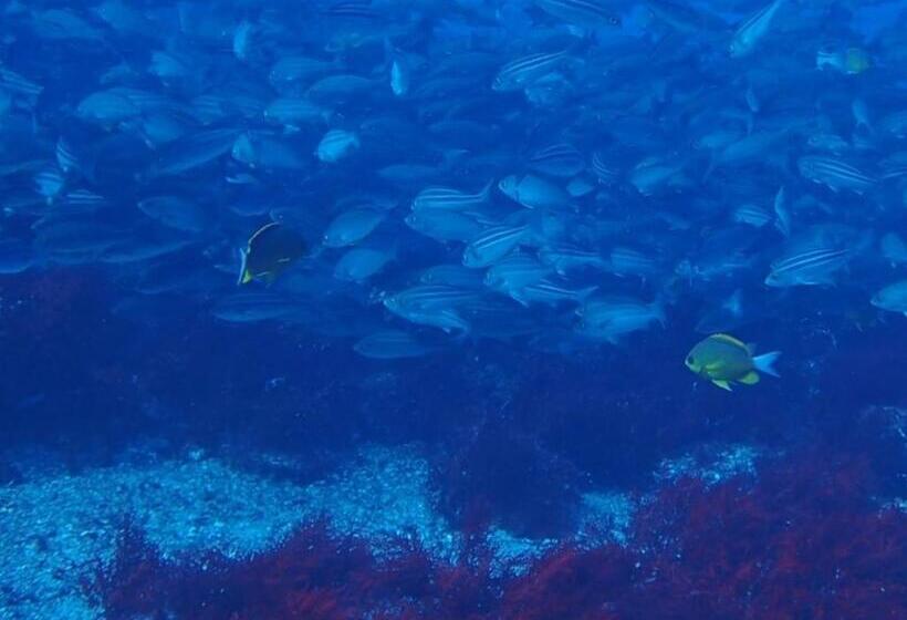 إستوديو قياسى, Yuraku Izuoshima  Hostel