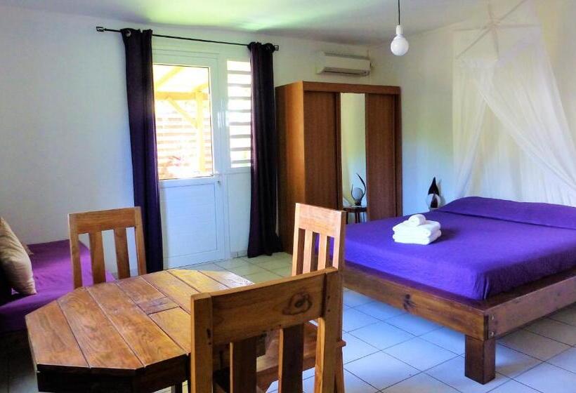 استودیو استاندارد با تراس, Gites Rose Des Vents