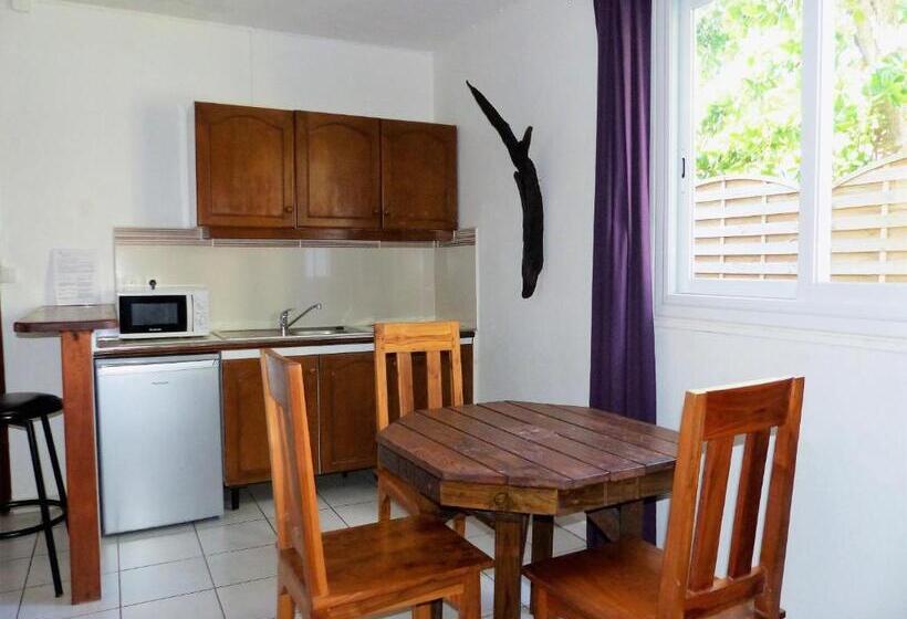 استودیو استاندارد با تراس, Gites Rose Des Vents