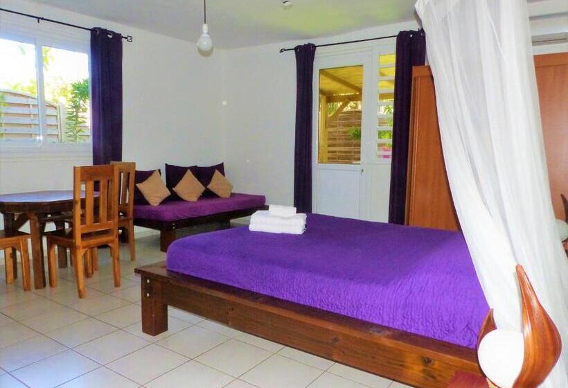 استودیو استاندارد با تراس, Gites Rose Des Vents