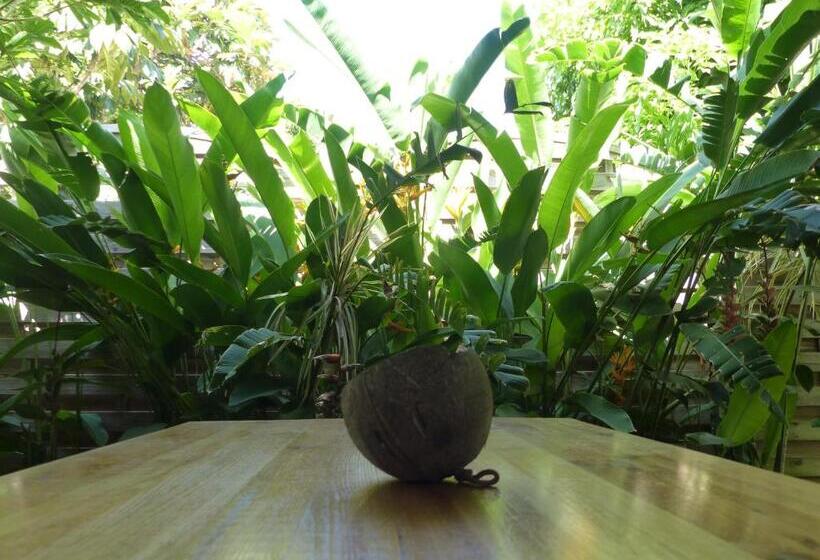 استودیو استاندارد با تراس, Gites Rose Des Vents