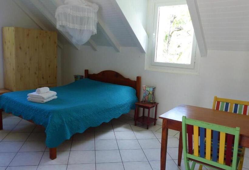 استودیوی استاندارد, Gites Rose Des Vents