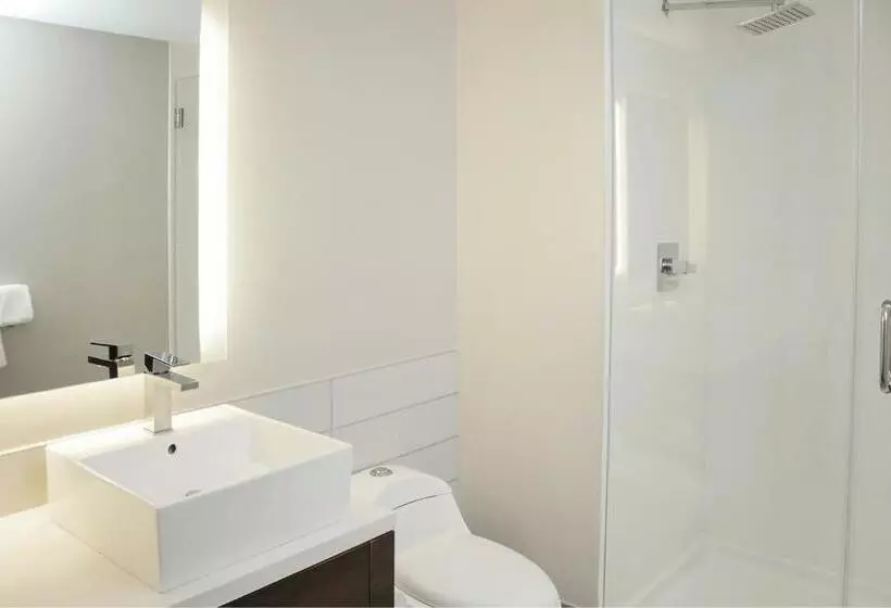 اتاق استاندارد با تخت بزرگ, Element Miami Doral