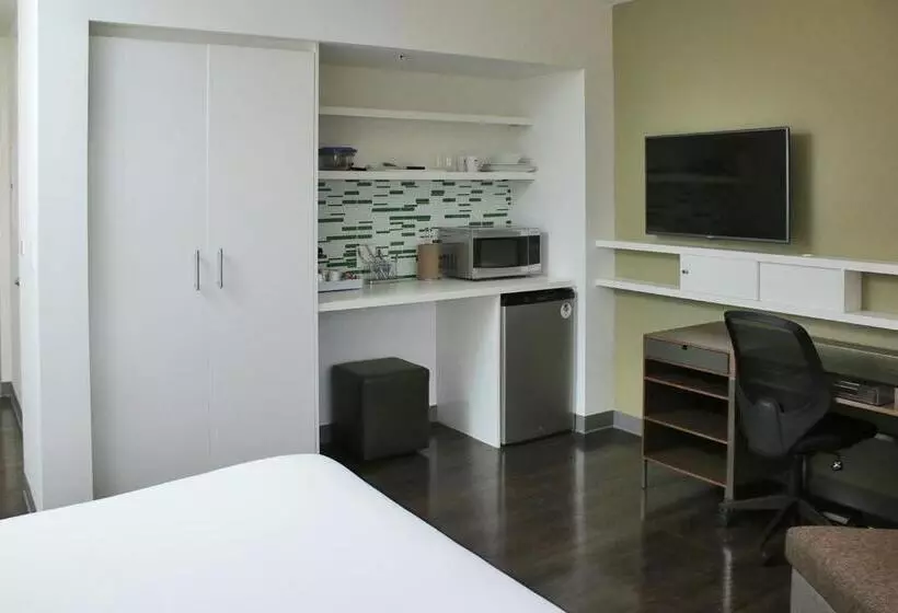 اتاق استاندارد با تخت بزرگ, Element Miami Doral
