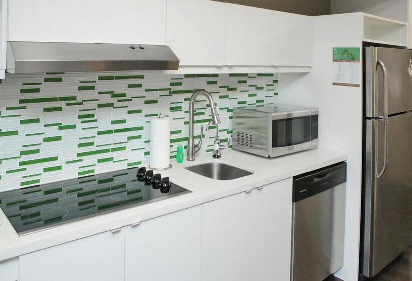 סטודיו סטנדרט, מיטה זוגית, Element Miami Doral