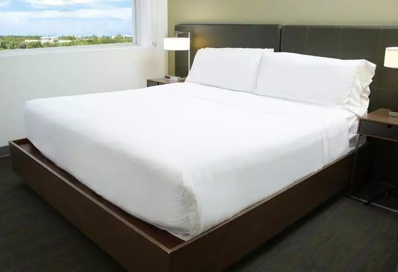 سوئیت با تخت بزرگ, Element Miami Doral