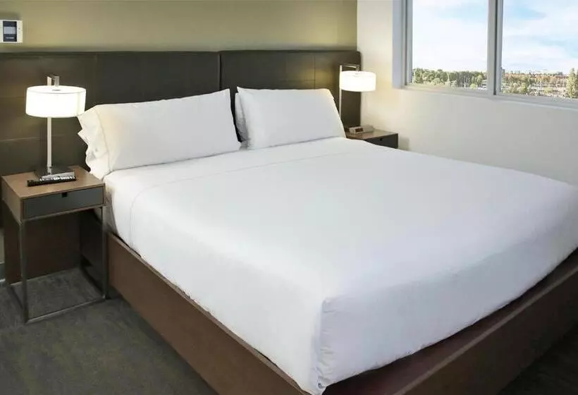 سوئیت اجرایی با تخت کینگ, Element Miami Doral