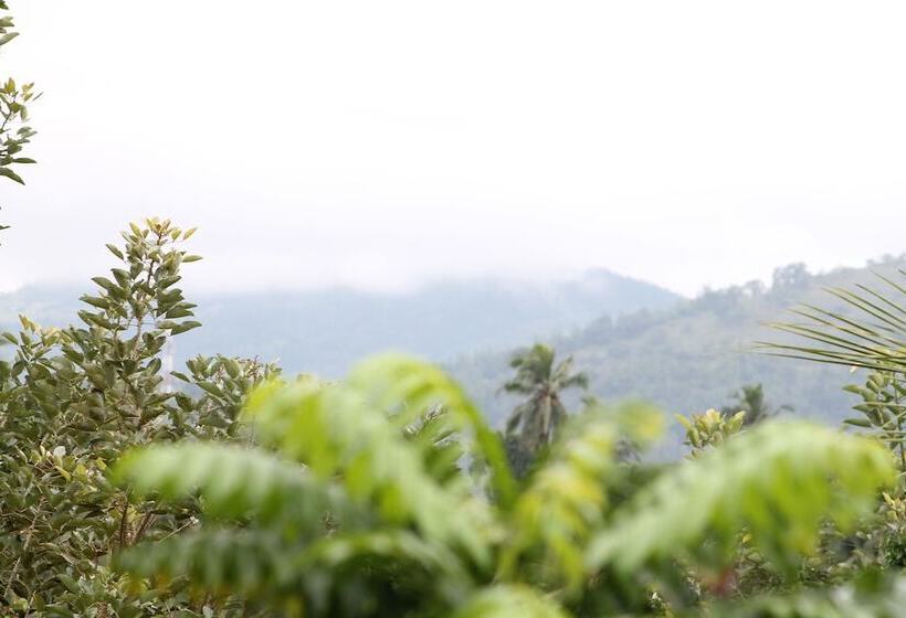 Standard Room, Heavens Holiday Resort