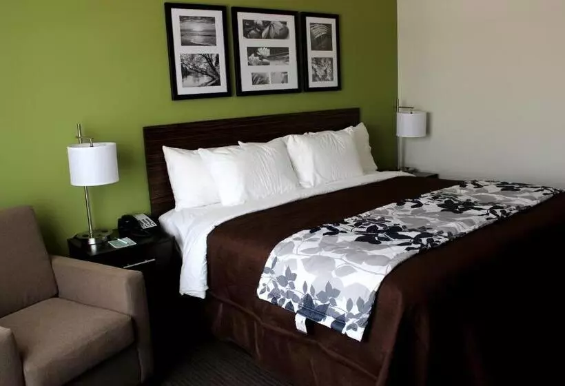 キングサイズベッドのスタンダードルーム, Sleep Inn & Suites