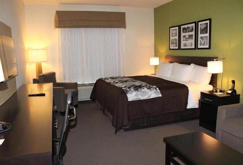 Стандартный Номер Кровать Кинг, Sleep Inn & Suites