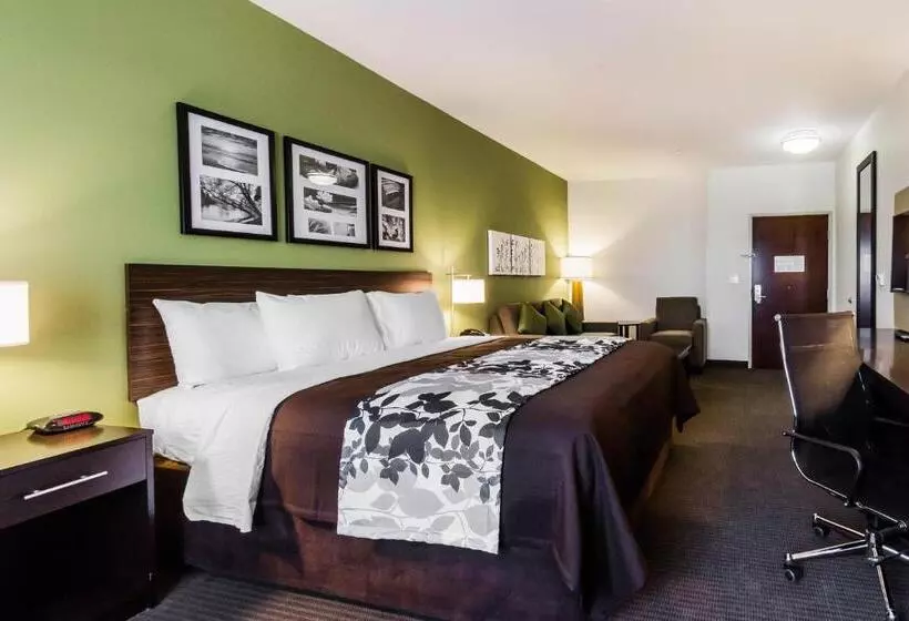 キングサイズベッドのスイートルーム, Sleep Inn & Suites