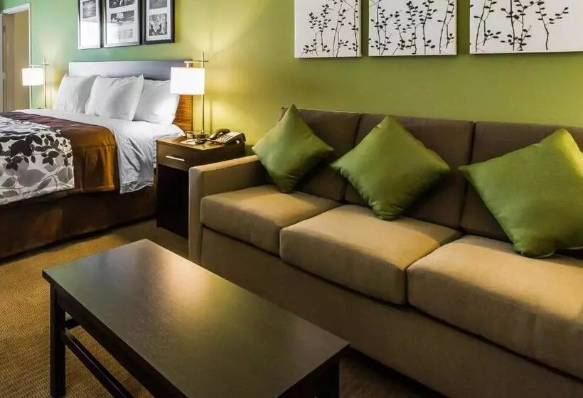 キングサイズベッドのスイートルーム, Sleep Inn & Suites