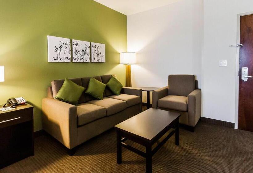 מיטת קינג בסוויטה, Sleep Inn & Suites