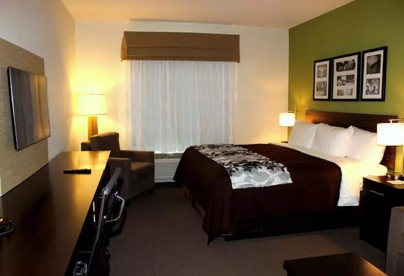 キングサイズベッドのスイートルーム, Sleep Inn & Suites