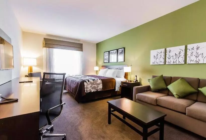 キングサイズベッドのスイートルーム, Sleep Inn & Suites
