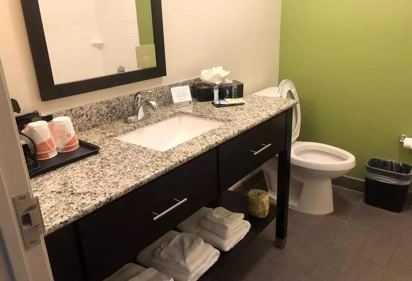 身障者適用キングサイズベッドルーム, Sleep Inn & Suites