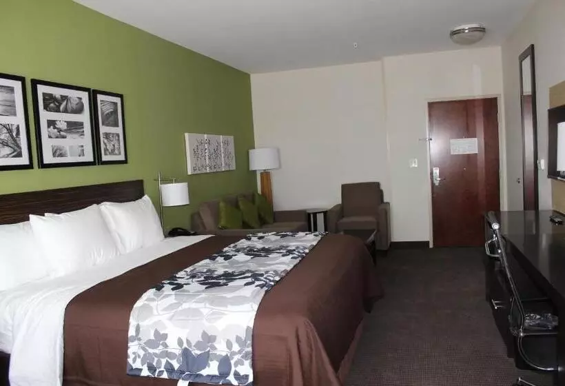 身障者適用スイートルーム, Sleep Inn & Suites