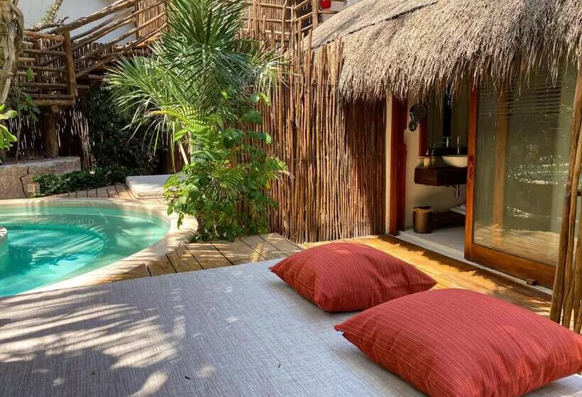 سوییت جونیور, The Beach Tulum