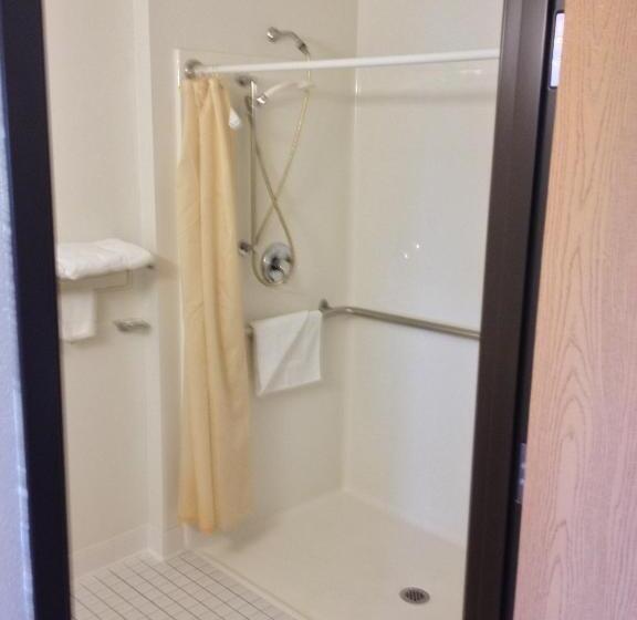 غرفة قياسية لذوى الاحتياجات الخاصة, Americas Best Value Inn & Suites Spring Valley