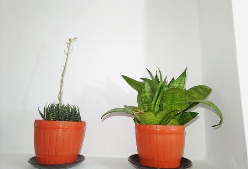 标准房带园景, Avon Hikkaduwa Guest House