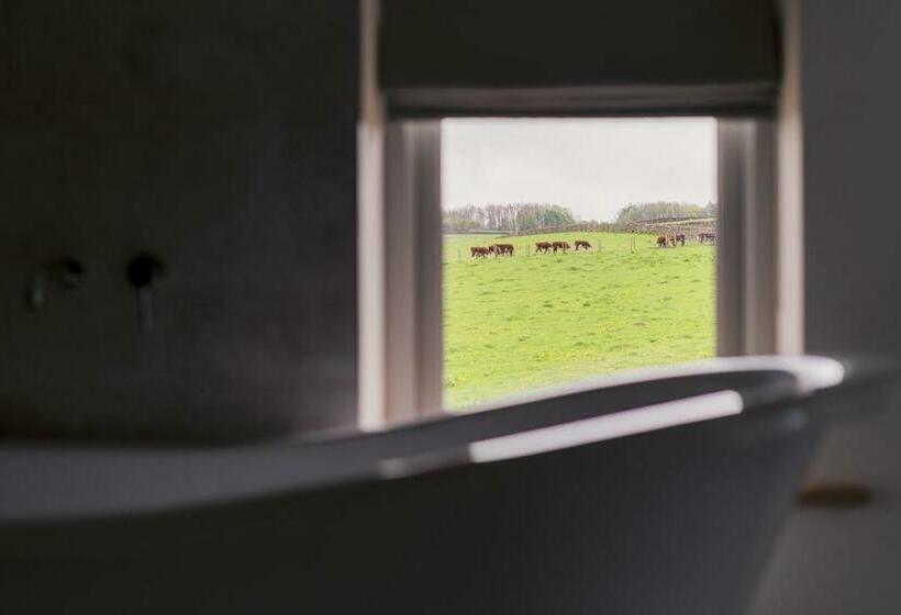 带大床的标准间, The Blind Bull