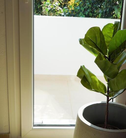 Полулюкс, White Curves