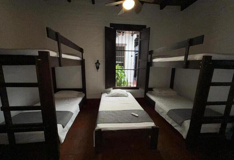 חדר משפחתי, Colonial Palmira