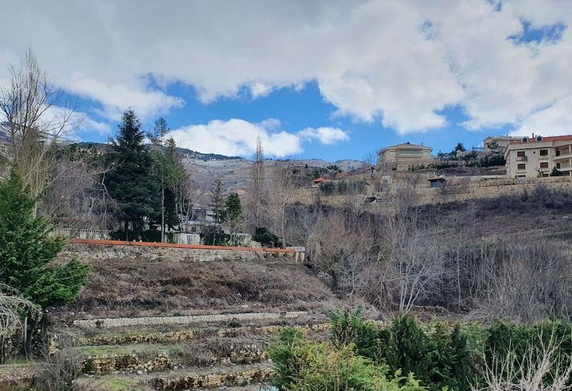 اتاق اجرایی, Rami