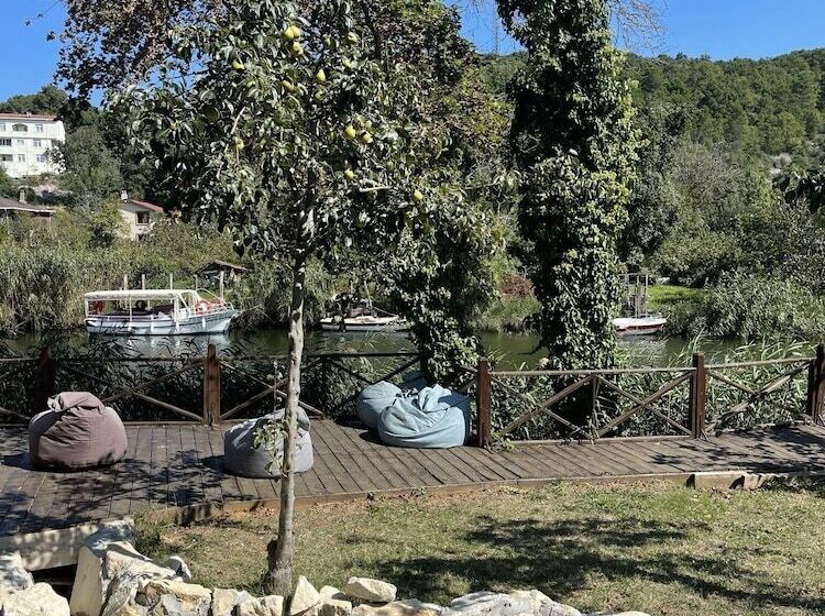 Семейное Бунгало, Paradise Plus Agva