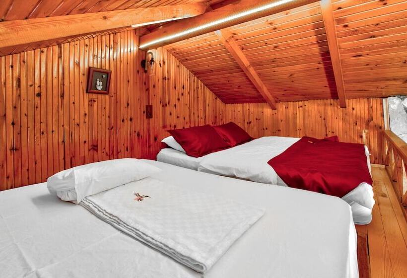 Семейное Бунгало, Paradise Plus Agva