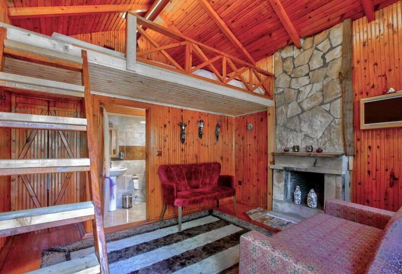 Семейное Бунгало, Paradise Plus Agva