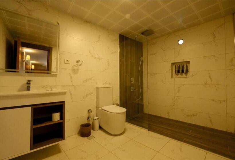 带观景的豪华间, Varyant