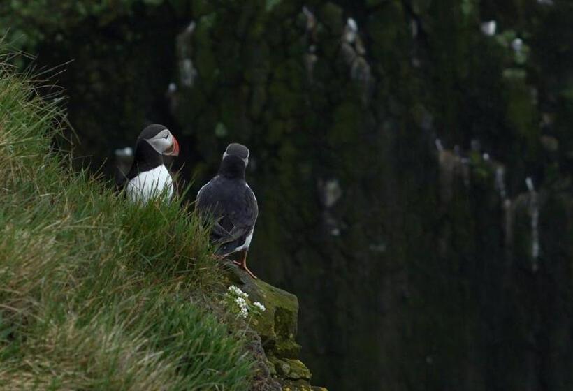 اتاق استاندارد با سرویس بهداشتی مشترک, Móra Guesthouse