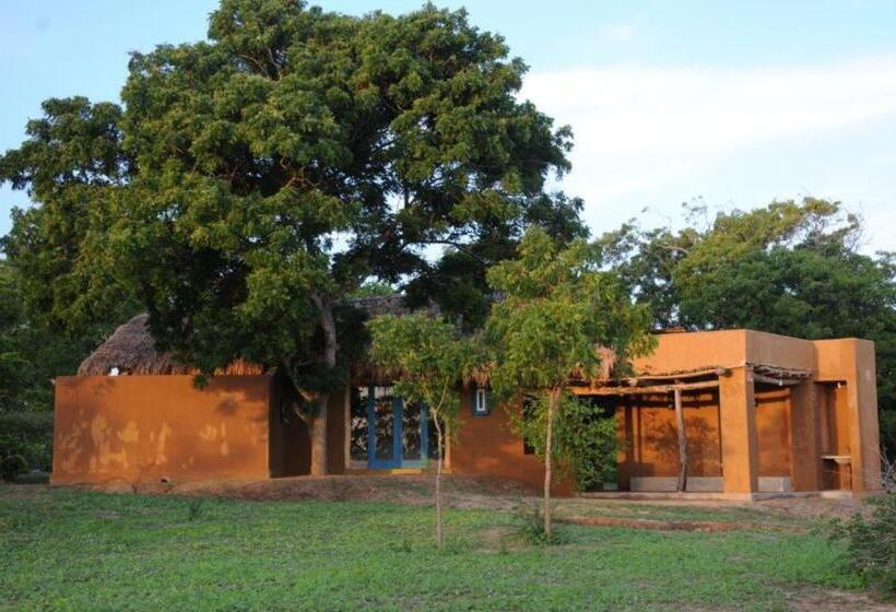 キャビン, Back Of Beyond   Wellness Retreat