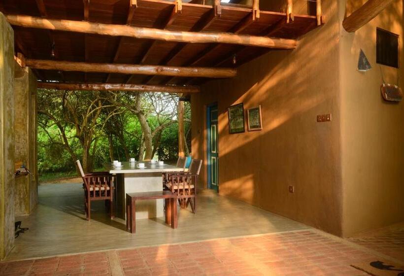 スタンダードバンガロー, Back Of Beyond   Wellness Retreat