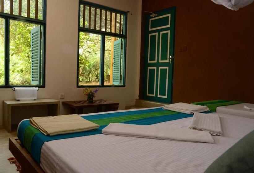 スタンダードバンガロー, Back Of Beyond   Wellness Retreat