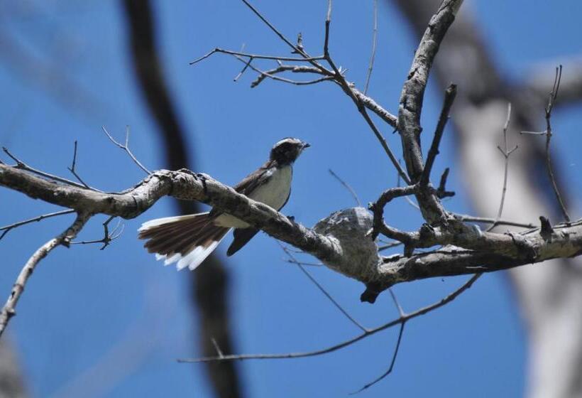 キャビン, Back Of Beyond   Wellness Retreat